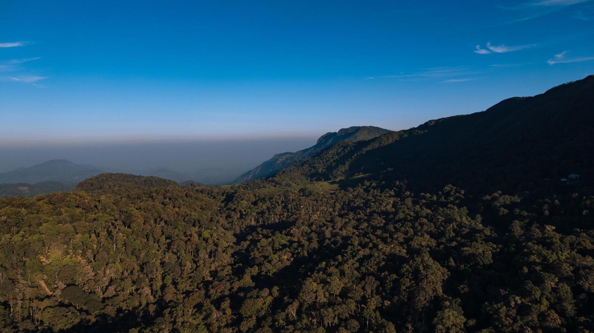 Elixir Woods Luxury Resort And Spa, Munnar Eksteriør bilde